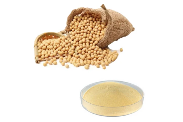 Soybean Seed Extract