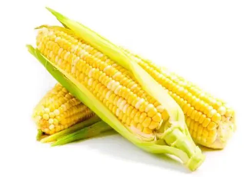 Corn.jpg