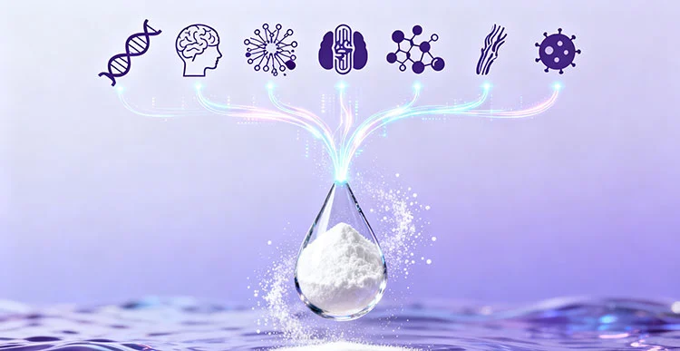 L-serine-benefits.jpg L-serine-benefits.jpg