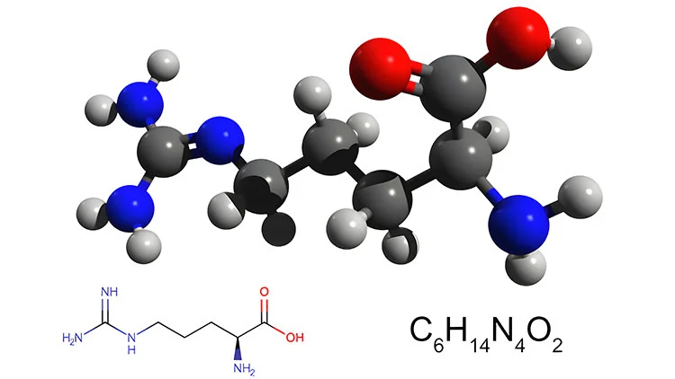 L-arginine.jpg L-arginine.jpg