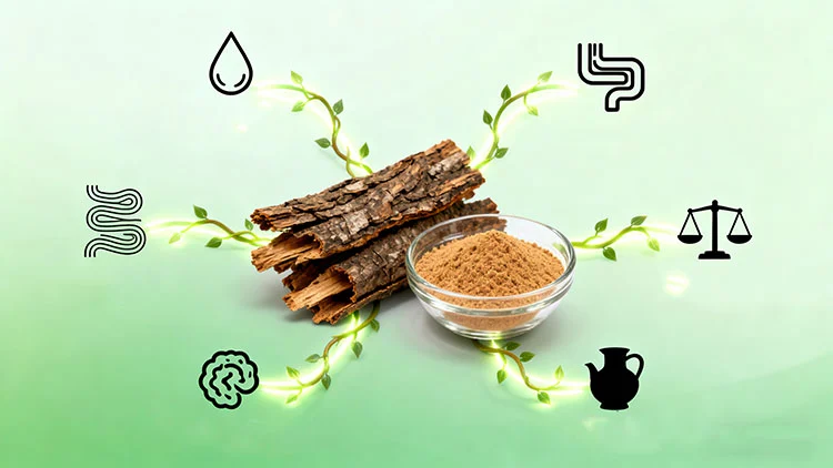 Cascara-Sagrada-Bark-Extract-benefits.jpg Cascara-Sagrada-Bark-Extract-benefits.jpg