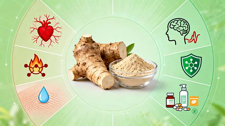 Pueraria-Flavonid-benefits.jpg Pueraria-Flavonid-benefits.jpg