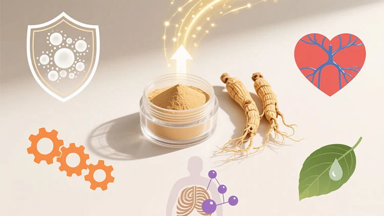 Astragalus-Extract-Powder-benefits.jpg Astragalus-Extract-Powder-benefits.jpg