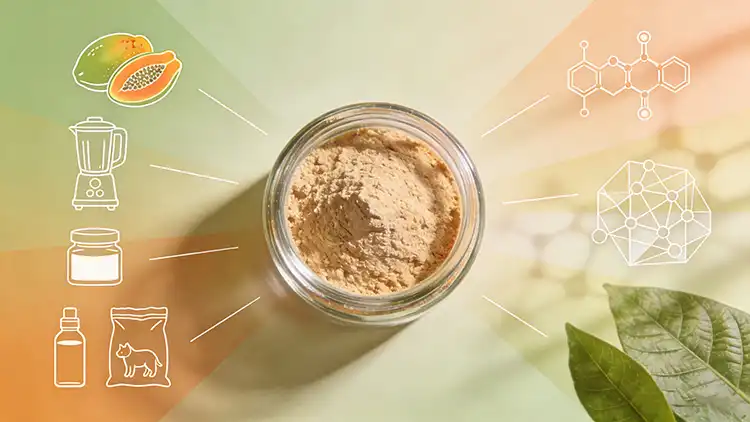 Papaya-Powder-Benefits.jpg Papaya-Powder-Benefits.jpg