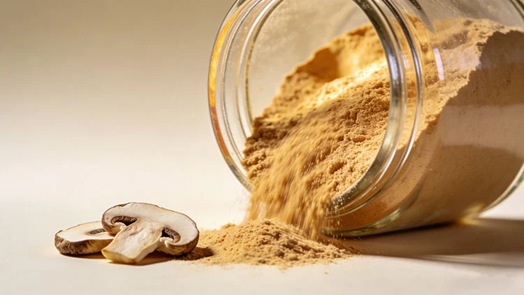 Agaricus-Blazei-Extract.jpg Agaricus-Blazei-Extract.jpg