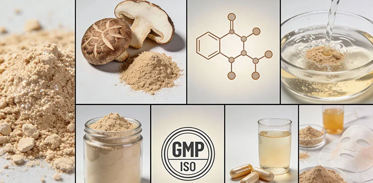 Agaricus-Blazei-Extract-Benefits.jpg Agaricus-Blazei-Extract-Benefits.jpg