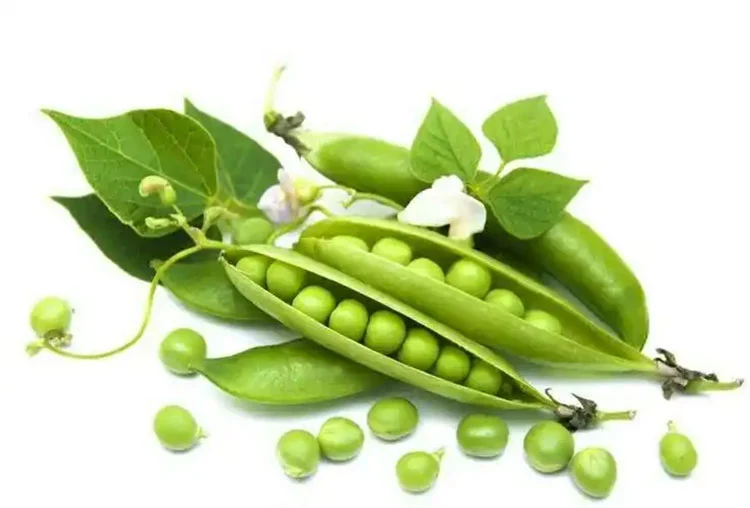 pea 