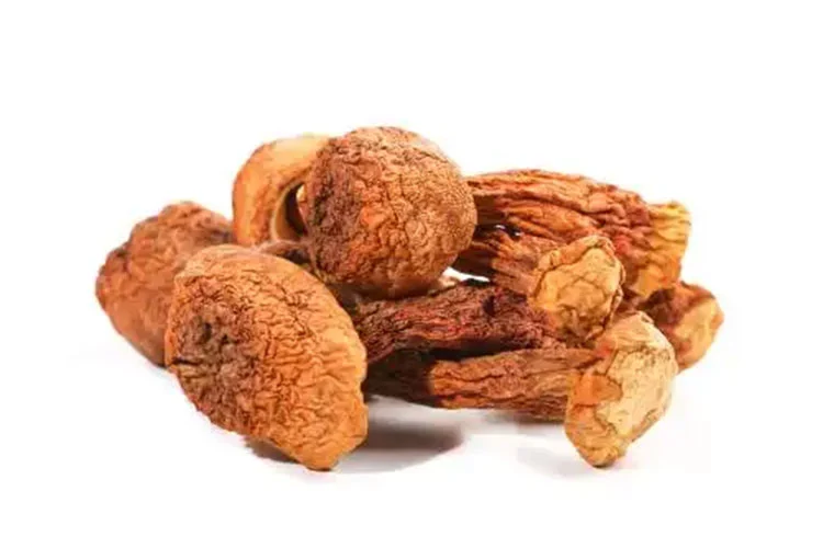 Agaricus-Blazei Agaricus-Blazei