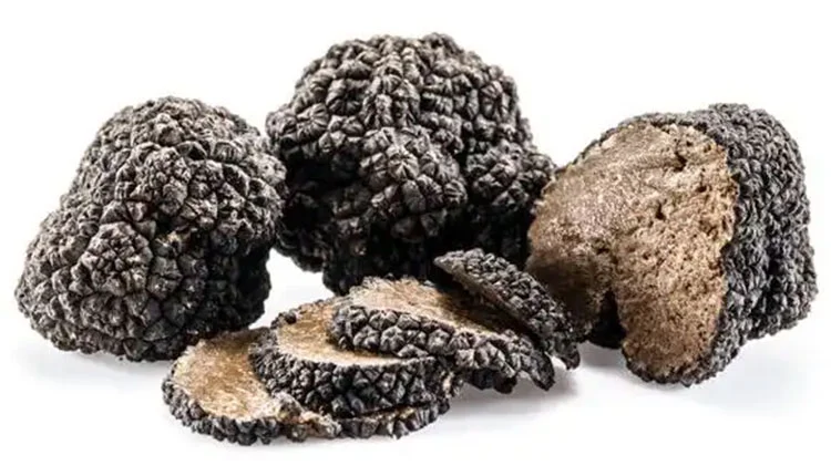 black truffle