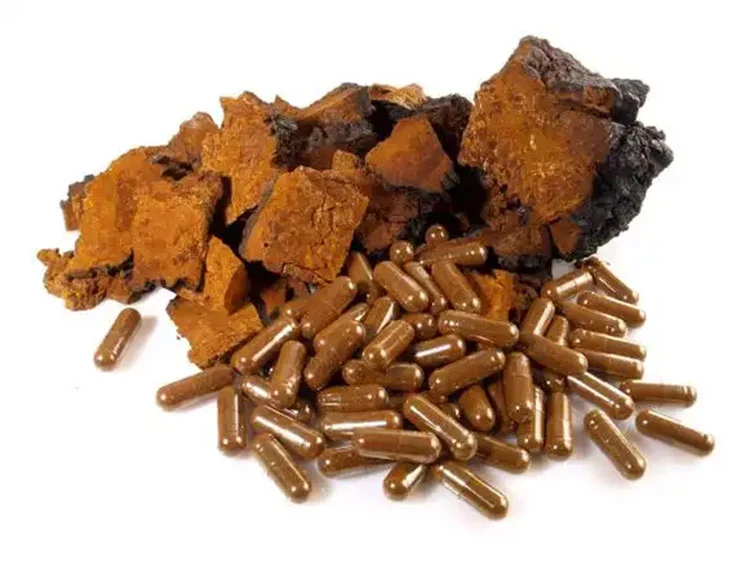 chaga-capsule