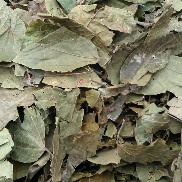 product-608-608 product-608-608