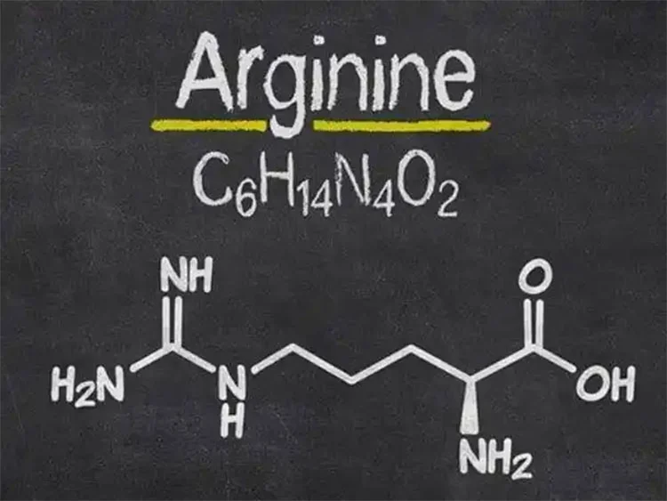 arginine arginine