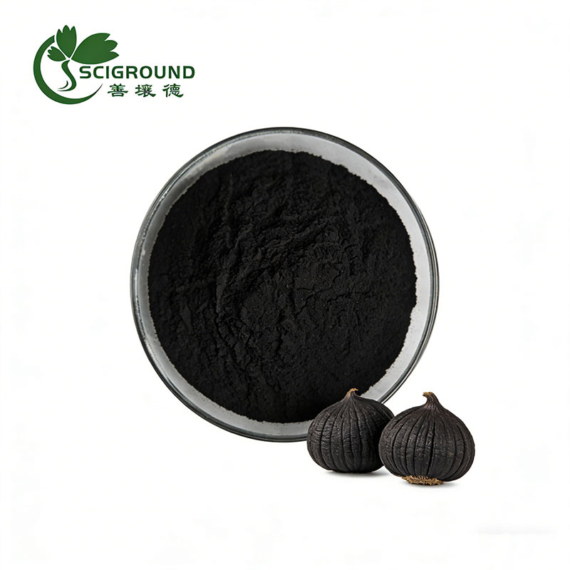 Black Garlic Extract Powder Black Garlic Extract Powder