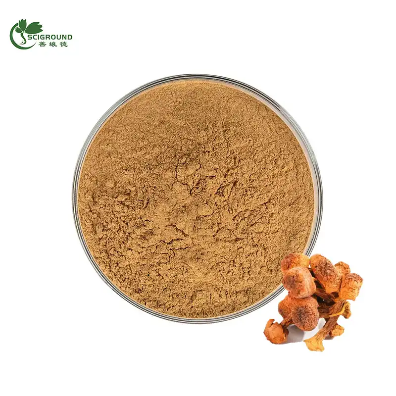 Organic Agaricus Blazei Extract