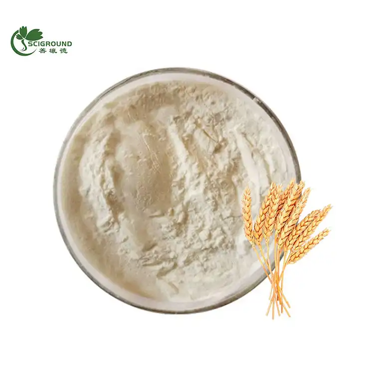 Organic Wheat Protein Powder