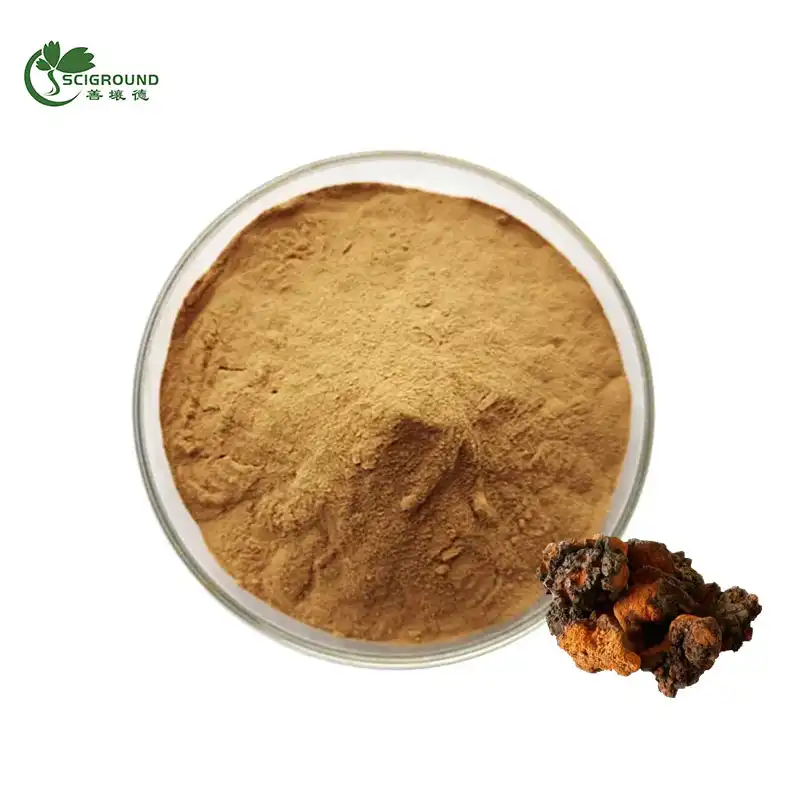 Organic Chaga Mushroom Extract