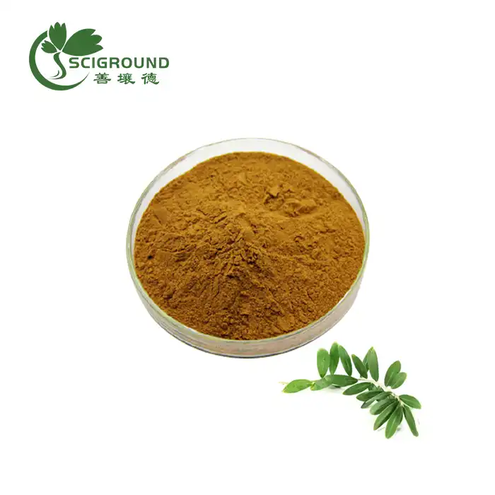 Olive Leaf Extract