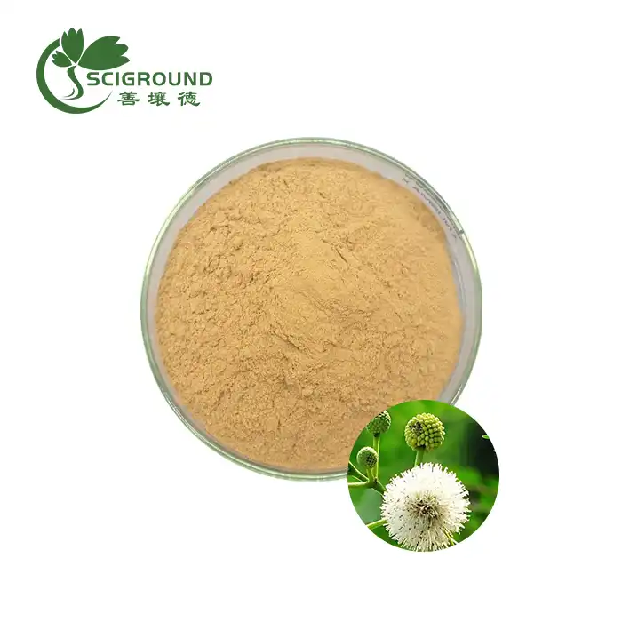 Amine Fennel Extract