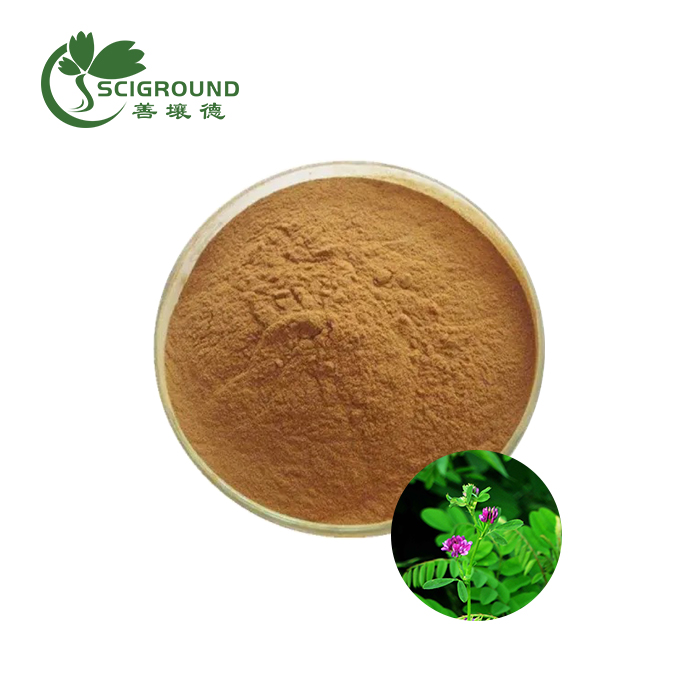 High-Quality Herb Extracts & Ratio Extract - Wholesale Manufacturer